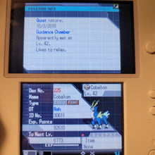 Load image into Gallery viewer, Pokemon White 2 Nintendo Ds  Fully Enhanced All Pokemon All Items & Money - LootDelivered.com