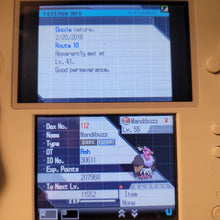 Load image into Gallery viewer, Pokemon Black 2 Enhanced with All 649 Pokemon - Max Items, Currency - LootDelivered.com