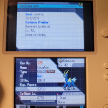 Load image into Gallery viewer, Pokemon White 2 Nintendo Ds  Fully Enhanced All Pokemon All Items &amp; Money - LootDelivered.com
