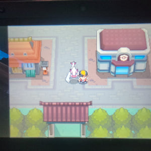 Pokemon Soul Silver Enhanced With all 493 Pokemon Shiny or Nonshiny + Max Items - LootDelivered.com