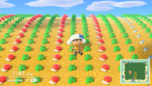 Load image into Gallery viewer, Animal Crossing New Horizons 2.0 Island Tour | All 2.0 items, Villagers &amp; More - LootDelivered.com
